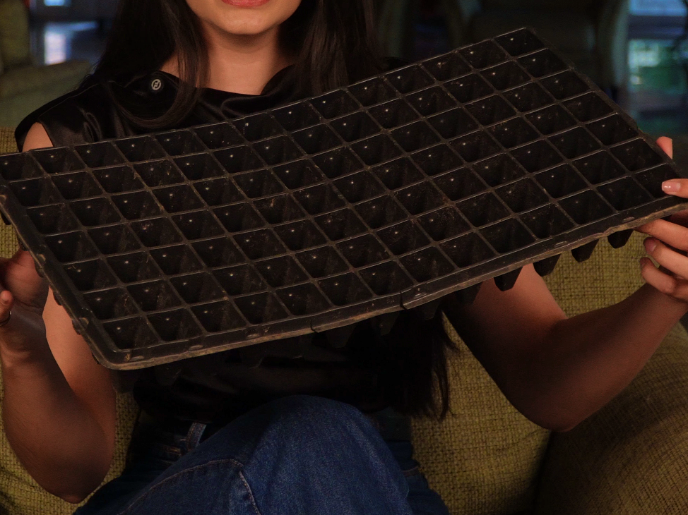 placa 02 - natali