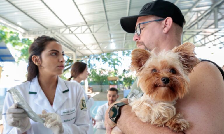 Joinville promove mutirão gratuito de microchipagem de cães e gatos neste sábado