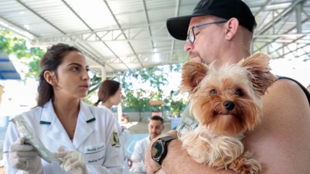Joinville promove mutirão gratuito de microchipagem de cães e gatos neste sábado