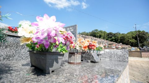 Flores sobre sepultura em cemitério de Joinville.